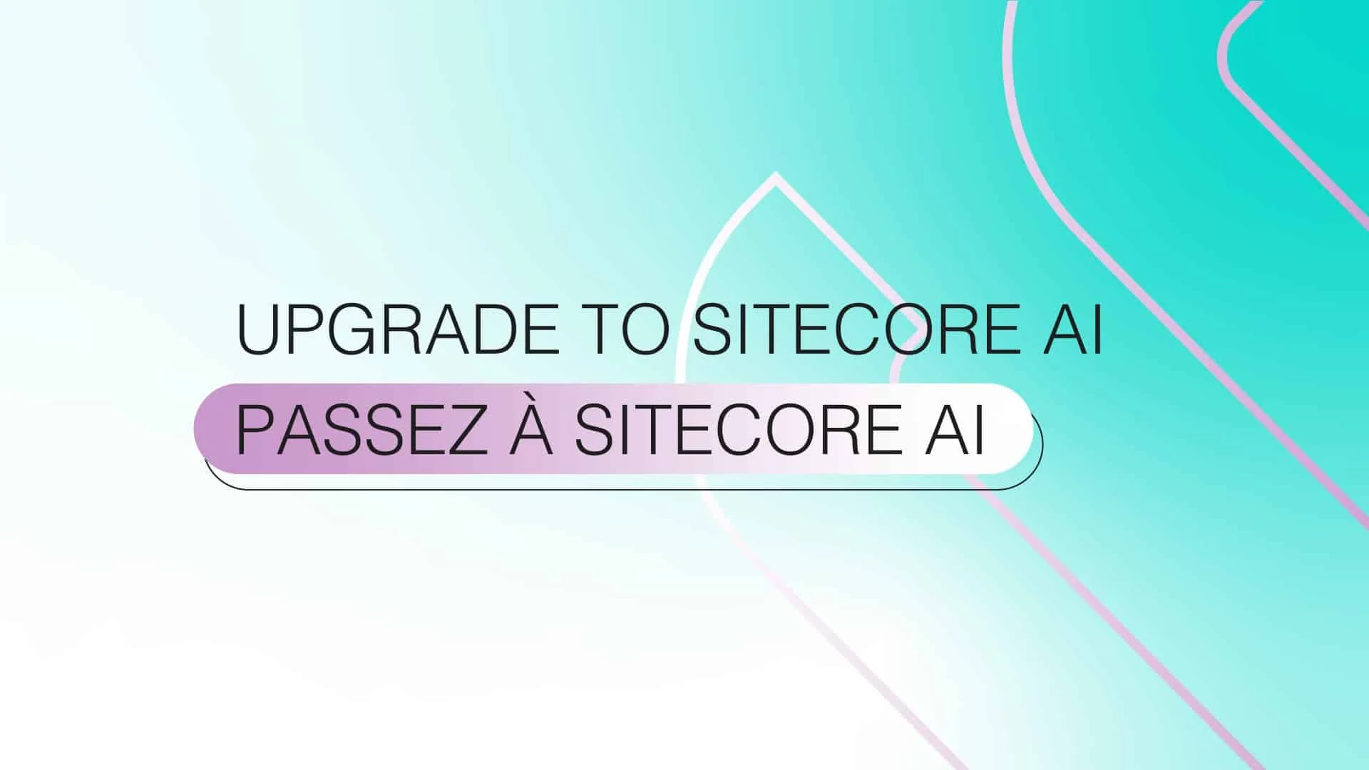 Sitecore Modernization & Upgrade Audit led by a Sitecore MVP